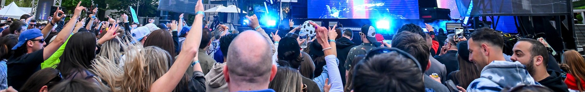 Fans at a concert